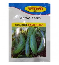 Cucumber Swati-5 Gold